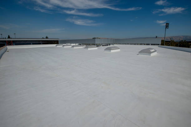 Best Gutter Installation and Repair  in Wahoo, NE