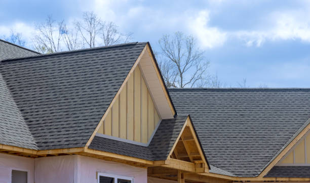 Best Roof Ventilation Installation  in Wahoo, NE