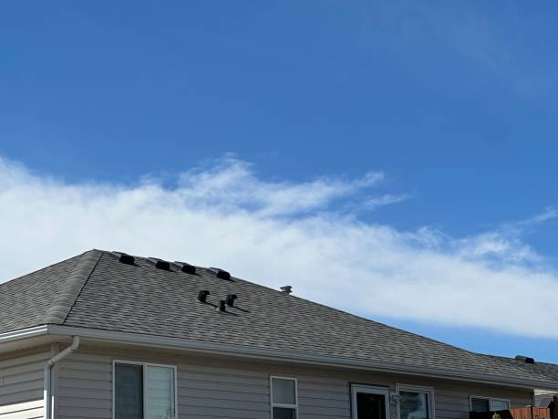 Best Roof Insulation Installation  in Wahoo, NE