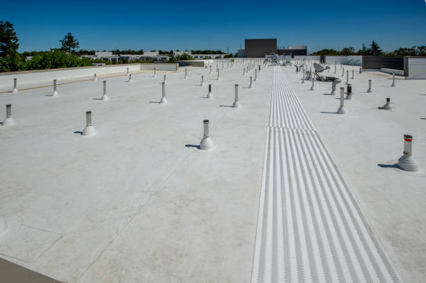 Best Rubber Roofing (EPDM, TPO)  in Wahoo, NE